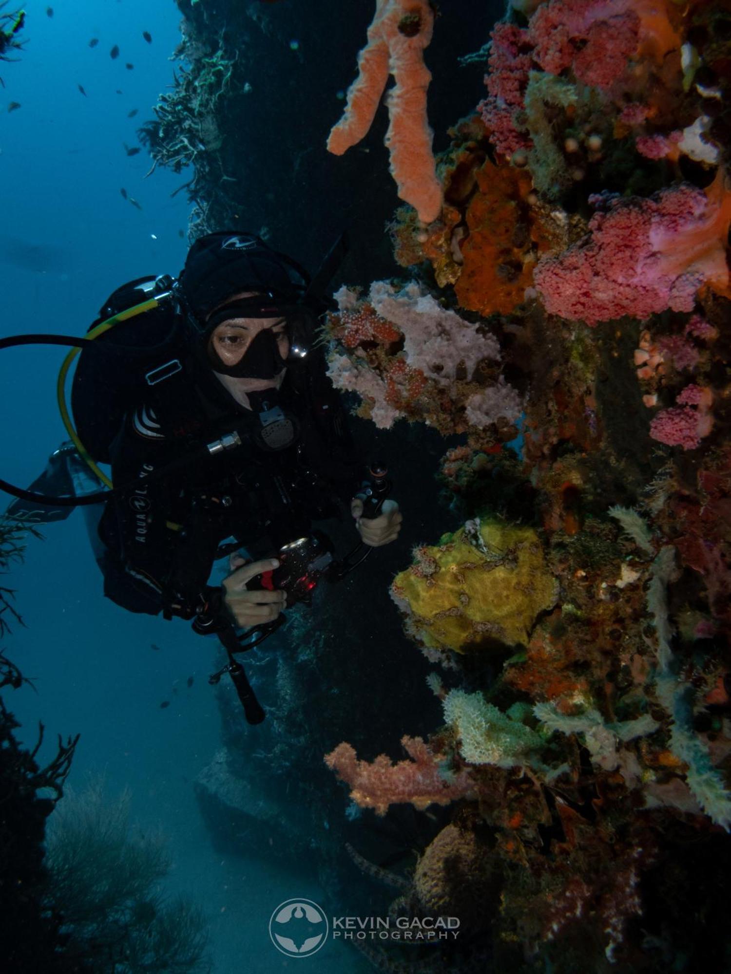 Vitaminsea Room Dauin Exterior foto