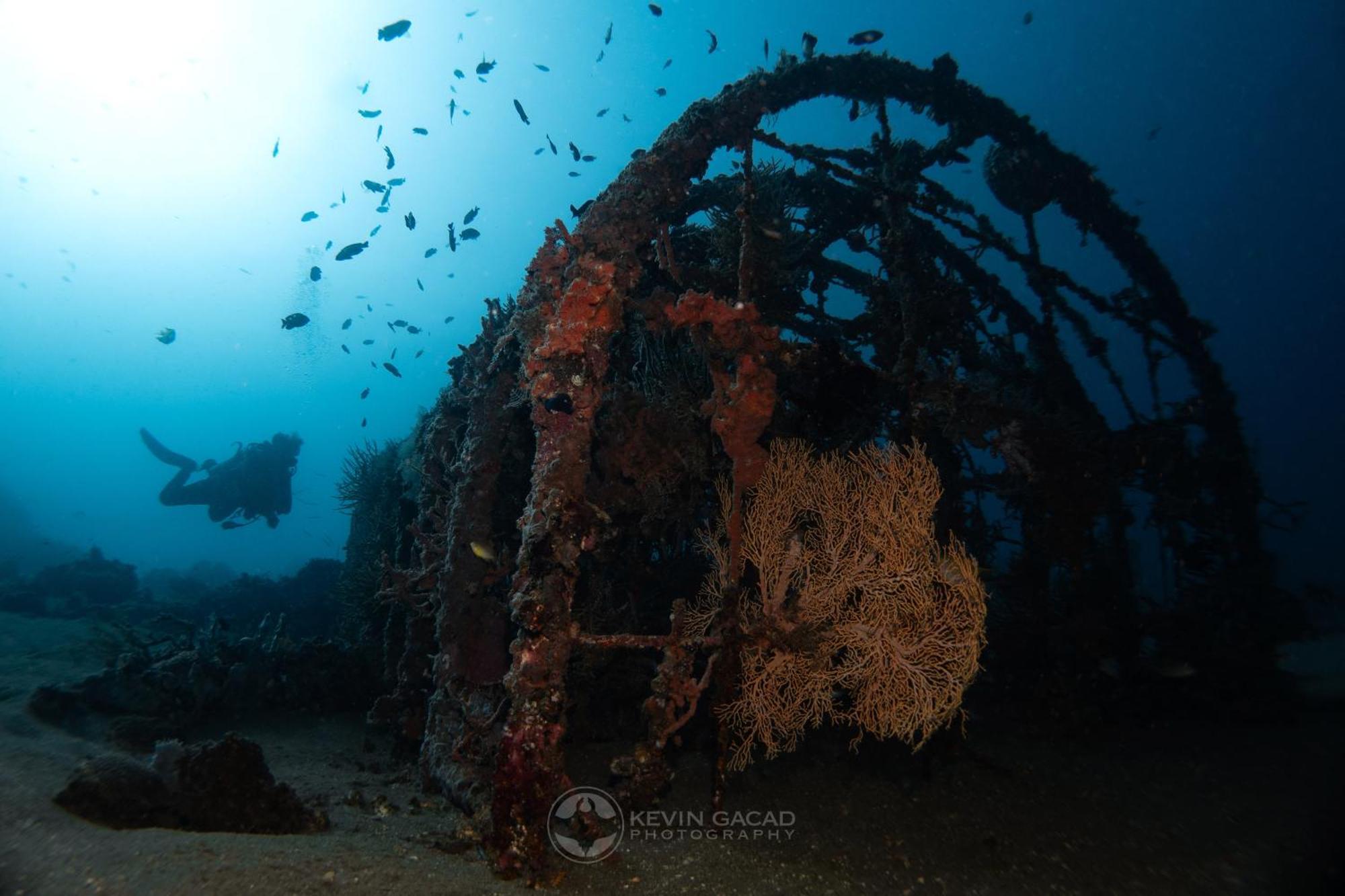 Vitaminsea Room Dauin Exterior foto